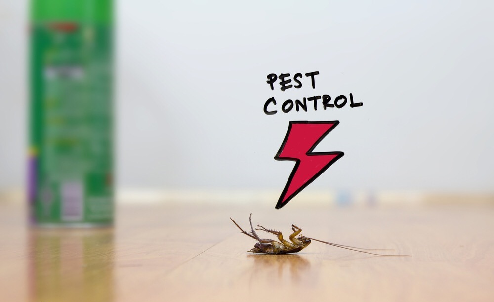 pest control