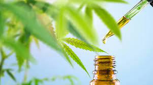 cbd oil for pain