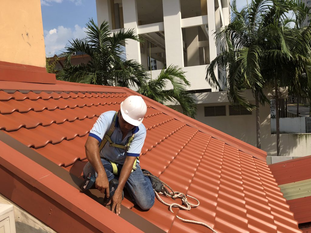 Professional Roofing Contractors